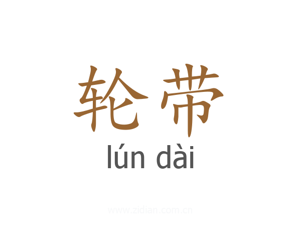 轮带