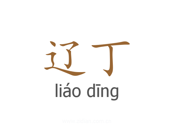辽丁