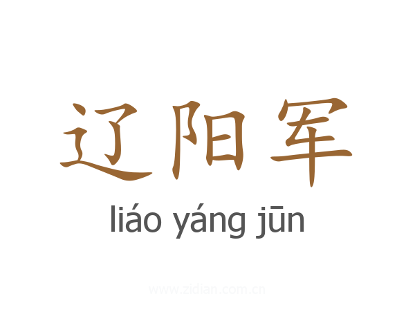 辽阳军