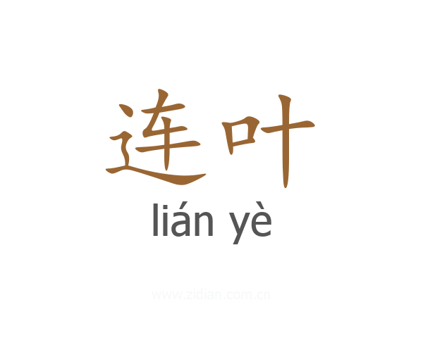 连叶