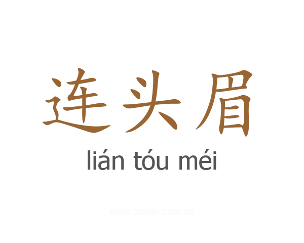 连头眉