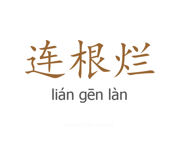 连根烂