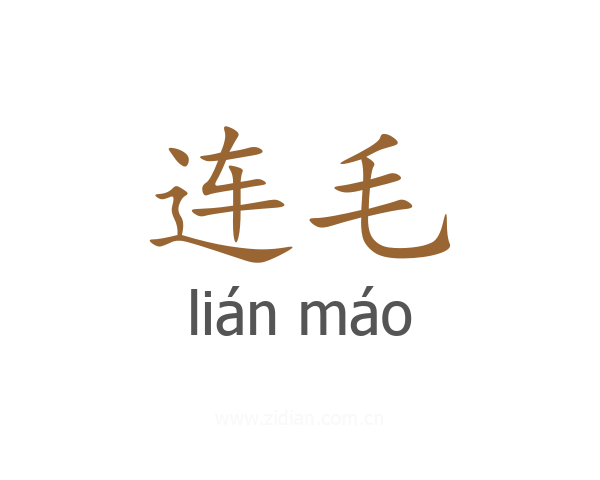连毛