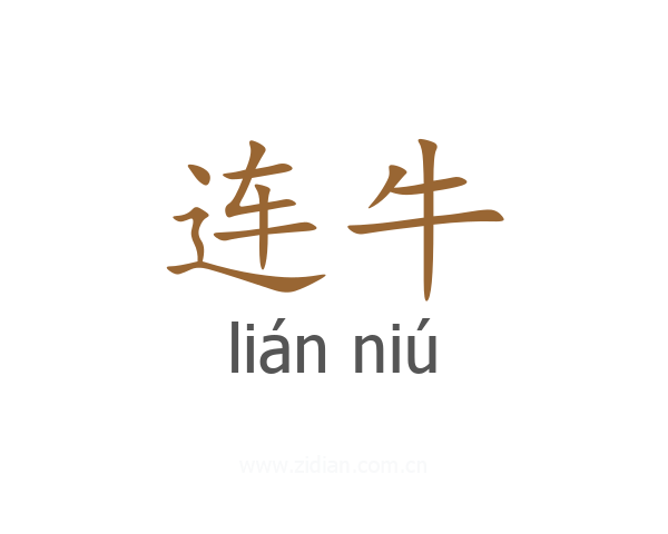 连牛