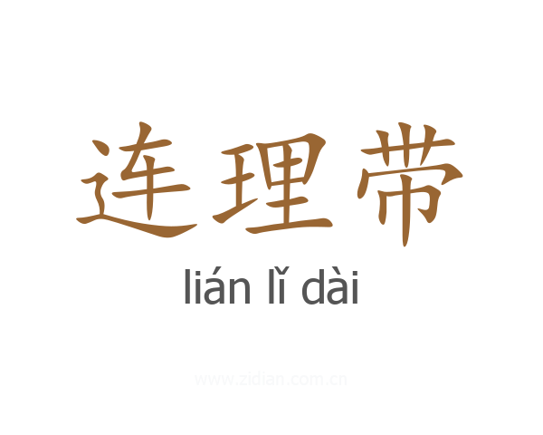 连理带