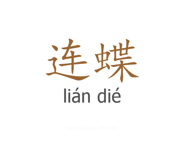 连蝶