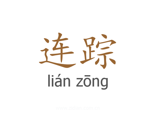 连踪
