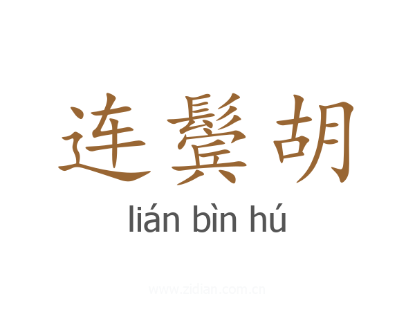 连鬓胡