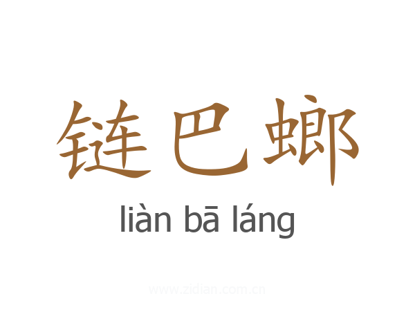 链巴螂