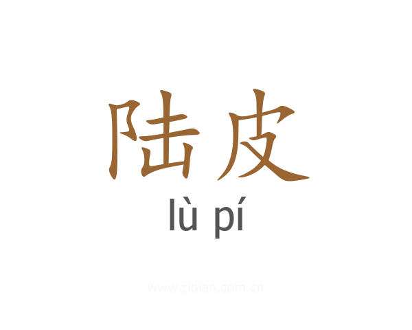 陆皮