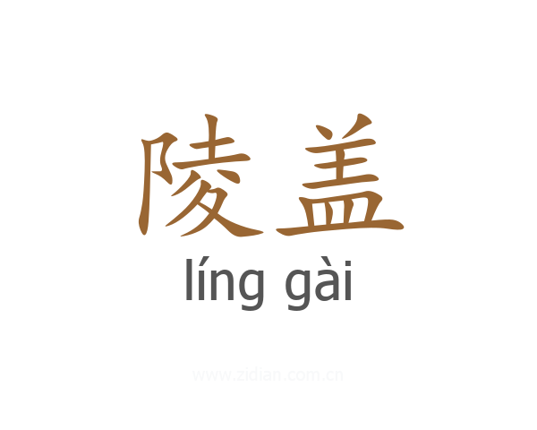 陵盖