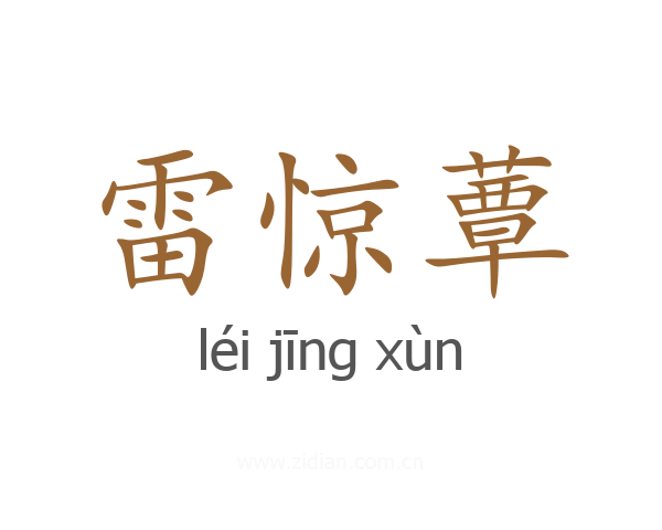 雷惊蕈