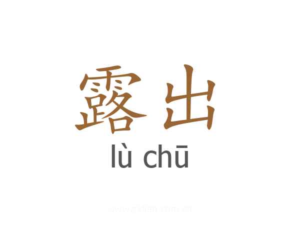 露出
