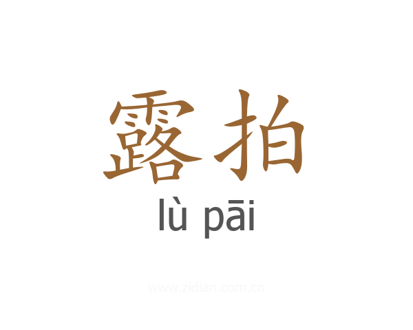 露拍