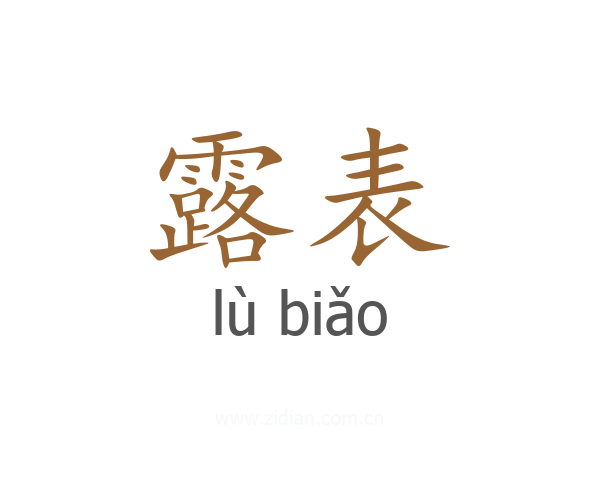 露表