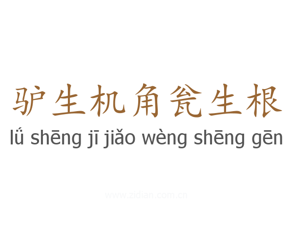 驴生机角瓮生根