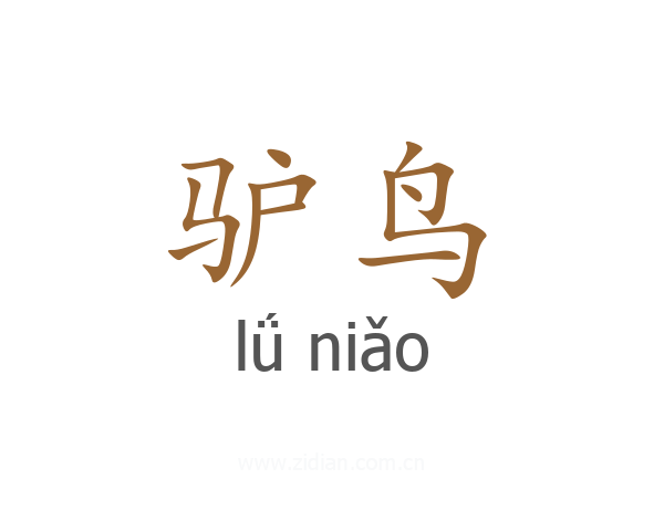 驴鸟