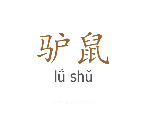 驴鼠