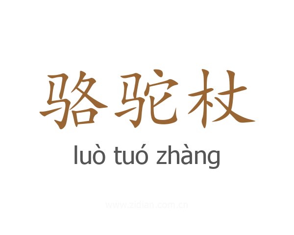 骆驼杖