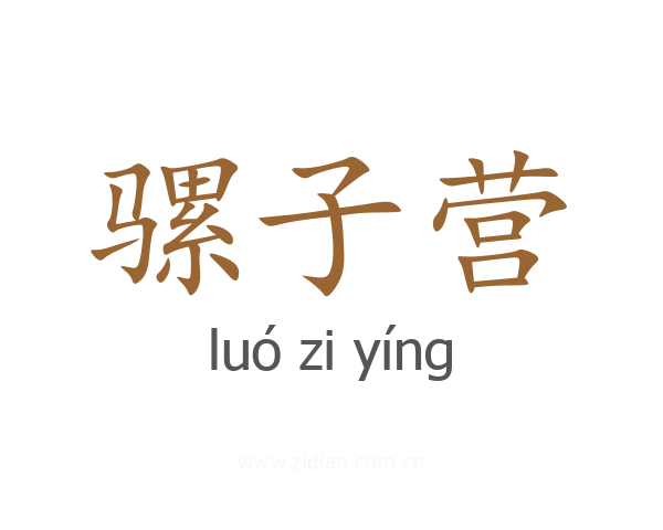 骡子营