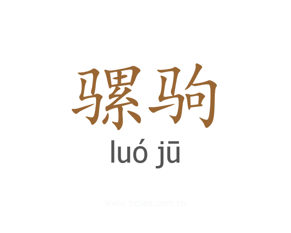 骡驹