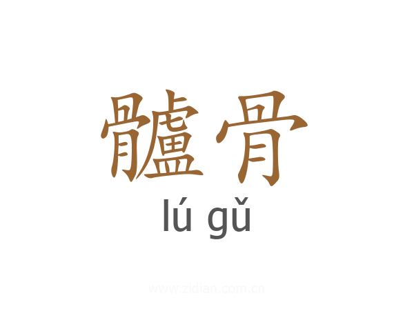 髗骨