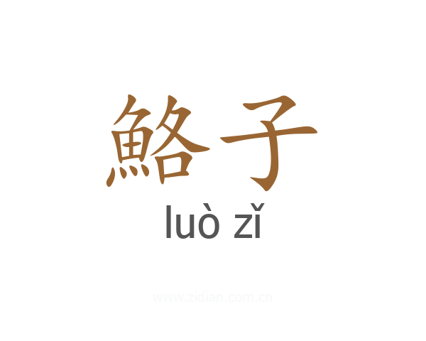 鮥子
