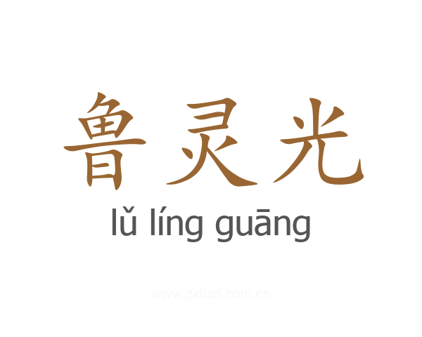 鲁灵光
