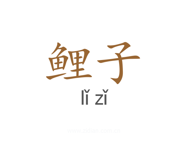 鲤子