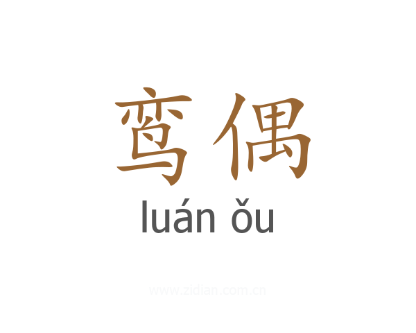 鸾偶