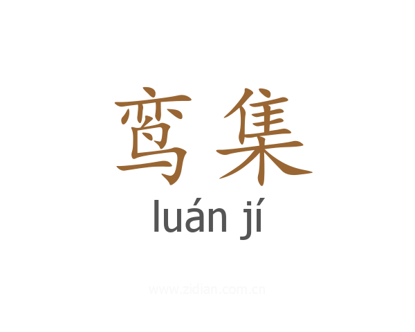 鸾集