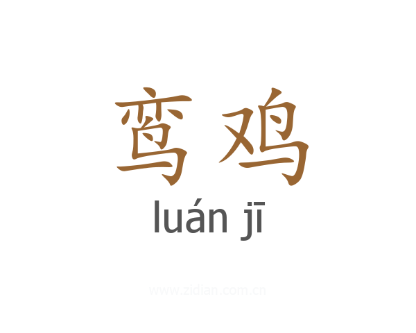 鸾鸡