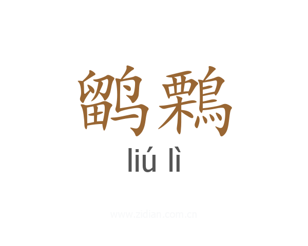 鹠鷅