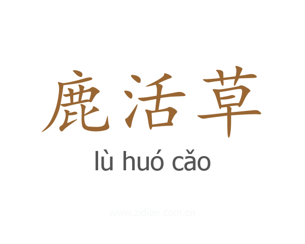 鹿活草