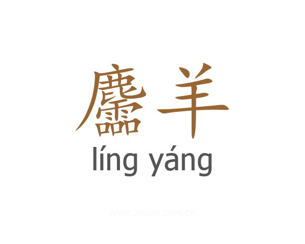 麢羊
