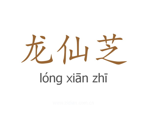 龙仙芝
