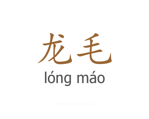 龙毛