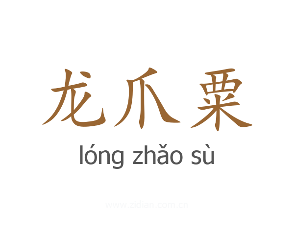 龙爪粟
