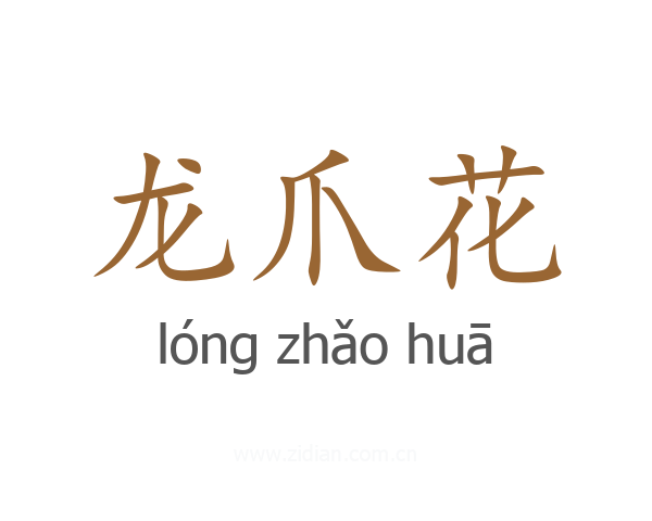 龙爪花