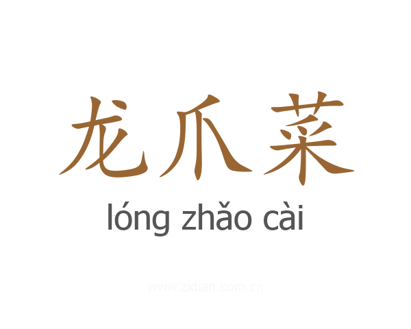 龙爪菜