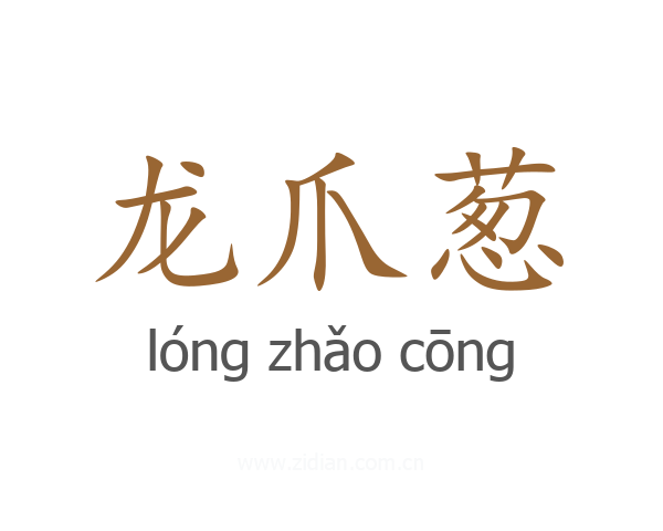 龙爪葱