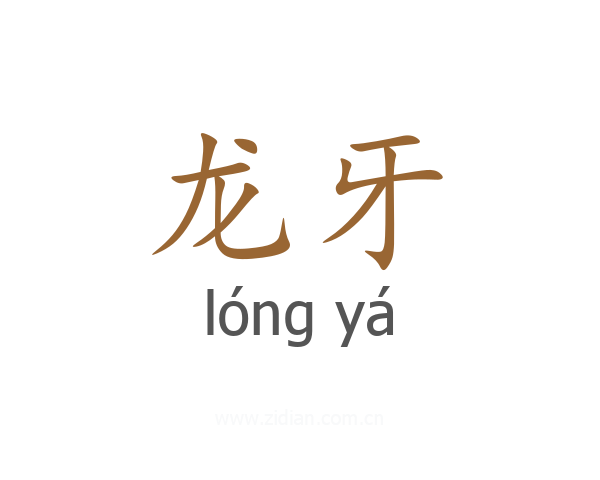 龙牙