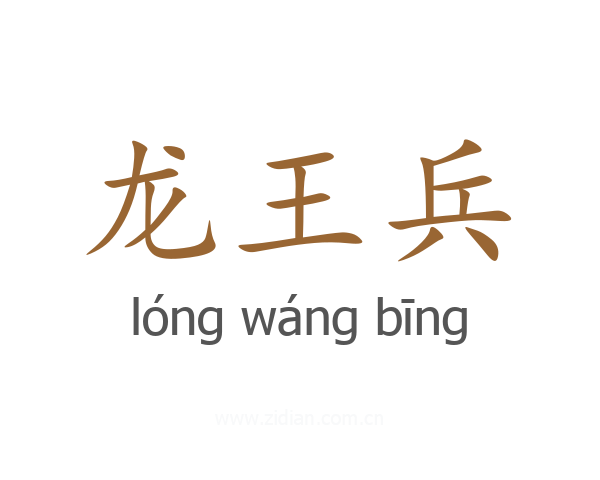 龙王兵