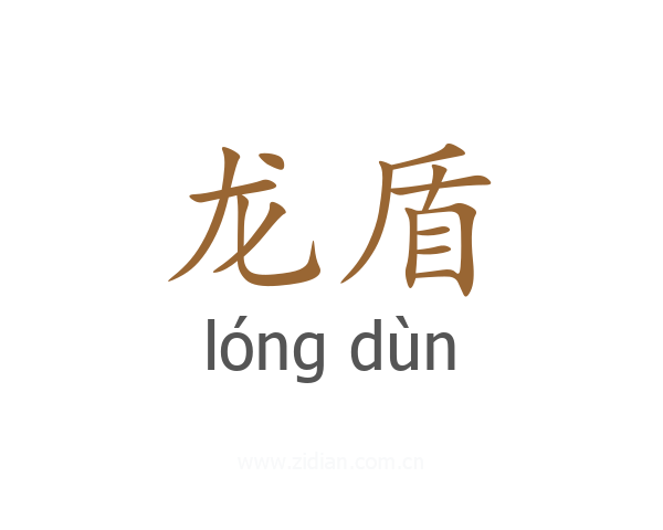 龙盾