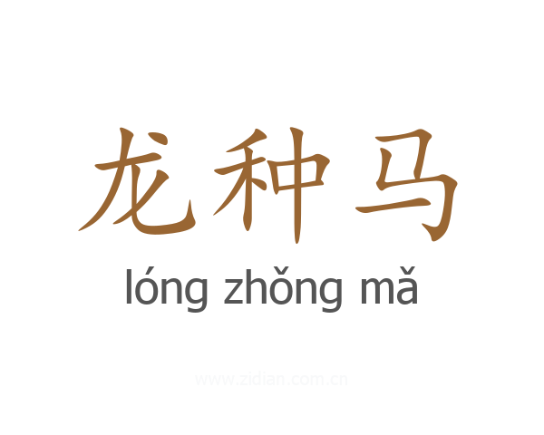 龙种马