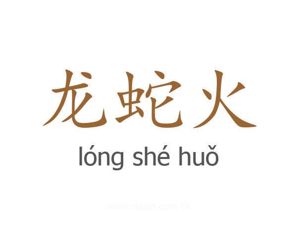 龙蛇火