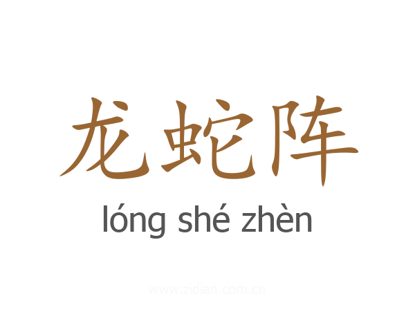 龙蛇阵