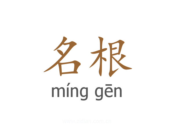 名根