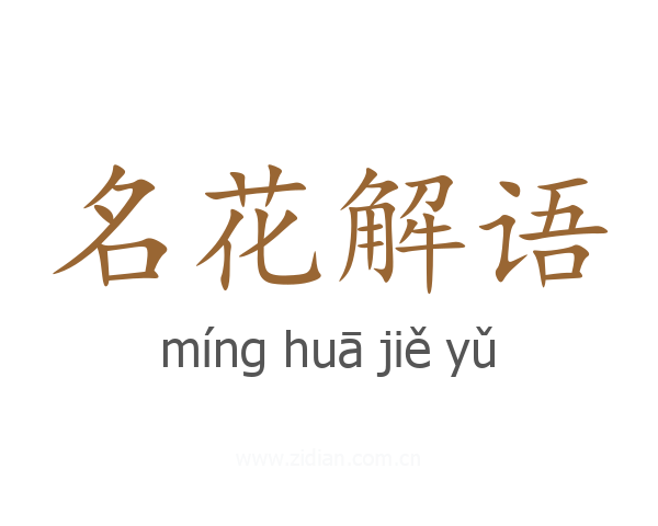 名花解语