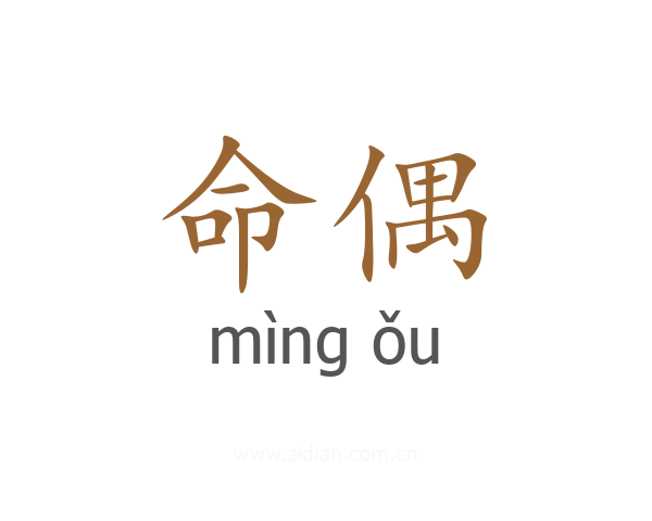 命偶